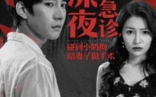 短剧《深夜出急诊，碰到小奶狗陪妻子做手术（1-50集）》全集免费观看