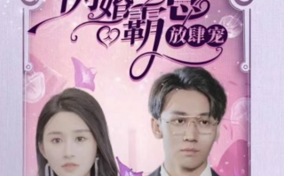 短剧《闪婚霸总放肆宠（83集全）》免费观看