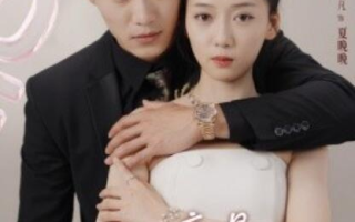 短剧《上司竟是未婚夫（1-79集）》全集免费在线观看