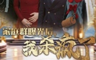短剧《家庭群曝光后，我杀疯了（1-30集）》全集免费在线观看