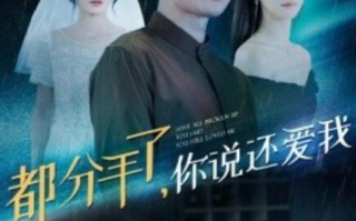 短剧《都分手了，你说还爱我（33集全）》免费在线观看
