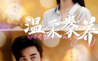 短剧《温柔豢养（100集全）》免费在线观看