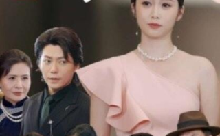 短剧《婆婆寿宴我的老公杀疯了（1-33集）》全集免费在线观看