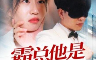 短剧《霸总他是小狼狗（31集全）》免费在线观看