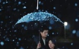 短剧《情溺 (2025)》全集免费在线观看