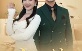 短剧《白天鹅（72集）(2025)》全集免费在线观看