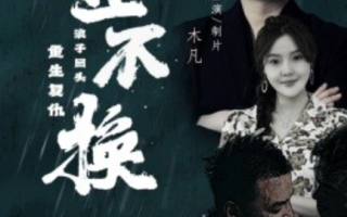短剧《金不换（32集全）》免费观看