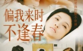 短剧《偏我来时不逢春（1-36集）》全集免费在线观看