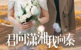 短剧《君向潇湘我向秦 (2025)》全集免费在线观看