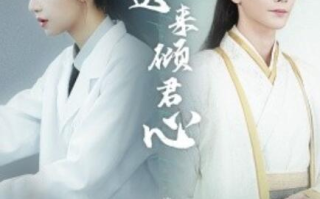 短剧《晚晚迟来倾君心（1-83集）》全集免费在线观看