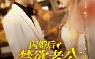 短剧《闪婚后禁欲老公宠上瘾（86集全）》免费观看