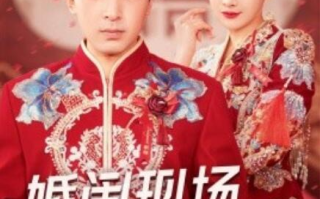 短剧《婚闹现场我忍无可忍（1-30集）》全集免费在线观看
