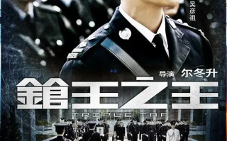 枪王之王 (2010)高清蓝光4k免费在线观看