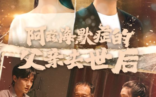 短剧《阿兹海默症的父亲去世后（31集）》全集免费在线观看
