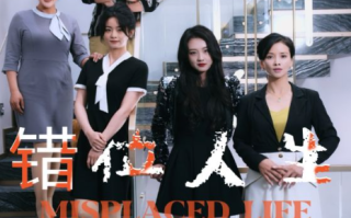 短剧《错位人生（89集全）》免费观看
