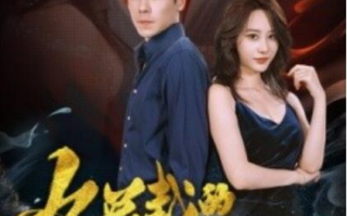 短剧《女总裁的高手老公（75集全）》免费在线观看