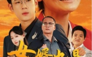 短剧《女婿也是半个儿（56集全）》免费在线观看