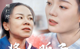 短剧《将人贩子送上法庭 (2024)》全集免费在线观看