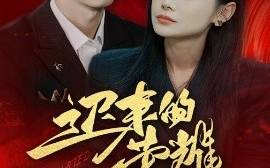短剧《迟来的荣耀 (2025)》全集免费在线观看