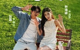 短剧《婚情告急宝贝来袭（77集）张磊&林琦婷 (2025)》全集免费在线观看