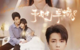 短剧《予她半城（100集全）》高清免费在线观看