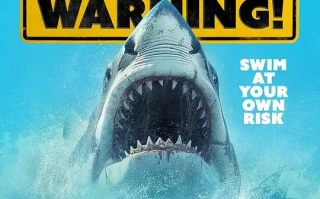 恶鲨警报 Shark Warningxa0(2024)高清蓝光4k免费在线观看