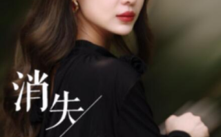 短剧《消失的他（1-30集）》全集免费在线观看