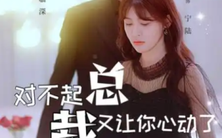 短剧《对不起总裁又让你心动了（98集全）》免费观看