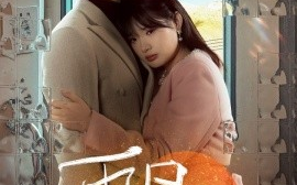 短剧《再见，再也不见（64集）远雨艾 (2025)》全集免费在线观看