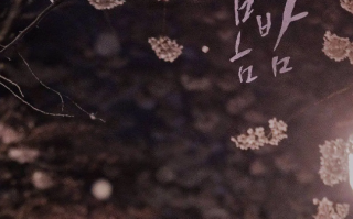 韩剧《春夜（32集全）》高清HD1080p完整版在线免费观看