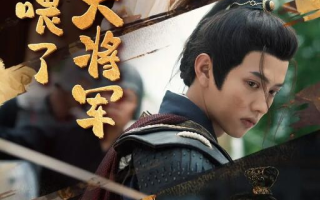短剧《我投喂了古代大将军（60集全）》免费观看