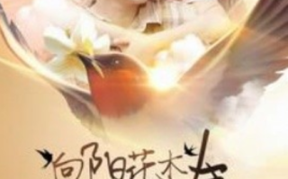 短剧《向阳花木易为春（101集全）》免费观看