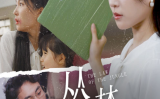 短剧《丛林法则（29集全）》免费观看