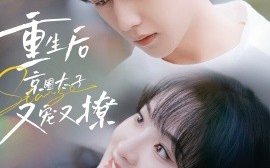 短剧《重生后京圈太子又宠又撩 (2024)》全集免费在线观看