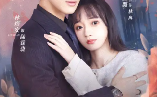 短剧《双生夺爱陆总你认错夫人了（94集全）》免费观看