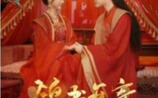 短剧《锦书难寄相思意（97集全）》免费观看