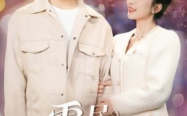 短剧《雾尽，见情深（41集）赵琪&李源 (2025)》全集免费在线观看