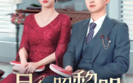 短剧《月色照黎明＆摊牌后老婆悔不当初（31集）徐海文 (2025)》全集免费在线观看