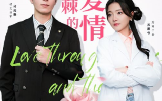 短剧《披荆斩棘的爱情（90集全）》免费观看