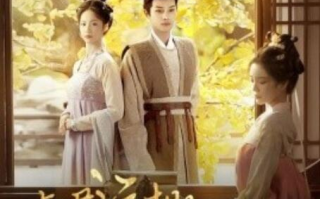 短剧《与君远相知，不道云海深（1-30集）》全集免费在线观看