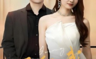 短剧《骄阳似我（64集全）》免费观看