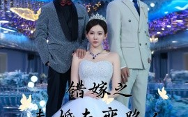 短剧《错嫁之未婚夫变路人 (2025)》全集免费在线观看