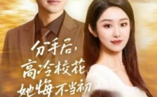 短剧《分手后，高冷校花她悔不当初（43集全）》免费在线观看