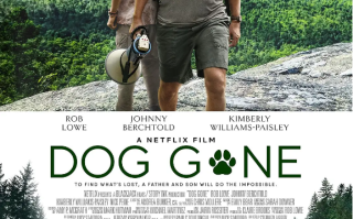 电影《迷途之犬》高清HD1080p完整版在线免费观看