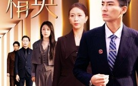 短剧《律政精英 (2024)》全集免费在线观看