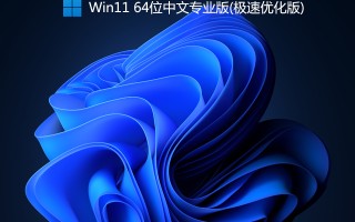 Win11 64位中文专业版V2021(极速优化版)