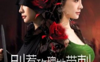 短剧《别惹玫瑰她带刺（100集全）》免费在线观看
