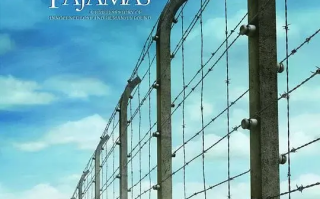 穿条纹睡衣的男孩 (2008)高清蓝光4k免费在线观看