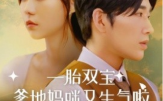 短剧《一胎双宝爹地妈咪又生气啦（82集全）》免费观看