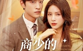 短剧《商少的神秘冤家（82集）孙梓铖&高曼尔 (2025)》全集免费在线观看